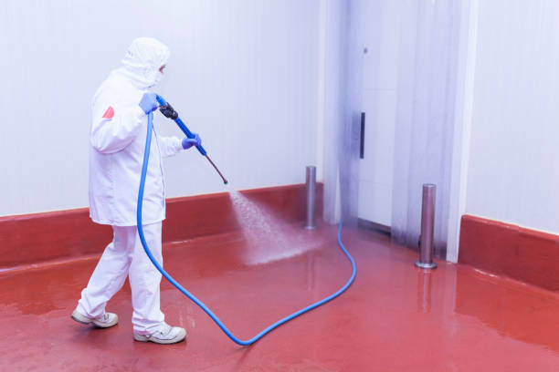 Best Sidewalk and Walkway Cleaning  in St James, MD